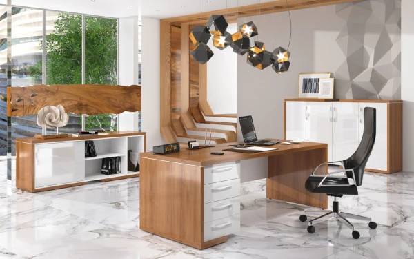Кабинет руководителя ASTI. Фото 1