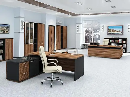 Кабинет руководителя Сенатор-Ф. Фото 1