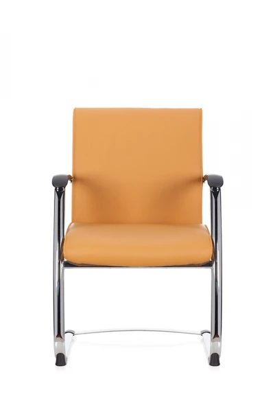 Кресло для посетителя Берн.D40. Фото 1