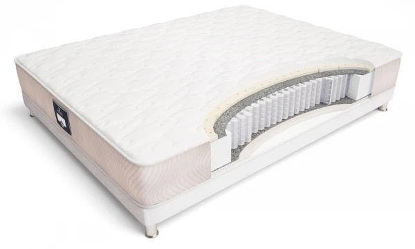 Матрас ECOLOGIC DREAM MAXI 80x200. Фото 1