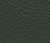 kожа зеленая - green leather (00)