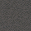pi08